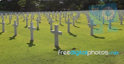 Many Marble Crosses On A Cemetery Stock Image