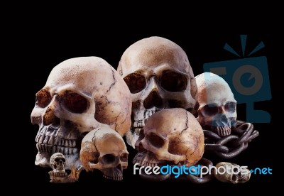 Many Skull On Black Background Stock Photo