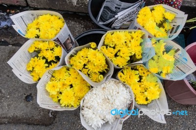 Many Types Of Flowers For Sale Along The Way Stock Photo