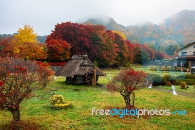 Maple Corridor At Autumn, Kawaguchiko Stock Photo