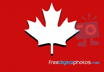 Maple Leaf Stock Image