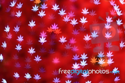 Maple Leaves Background Bokeh Stock Image