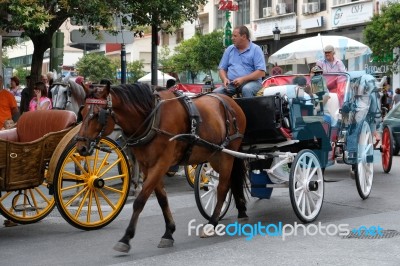 Marbella, Andalucia/spain - July 6 : Horse And Carriage In Marbe… Stock Photo