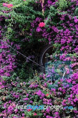 Marbella, Andalucia/spain - July 6 : Overgrown Building In Marbe… Stock Photo