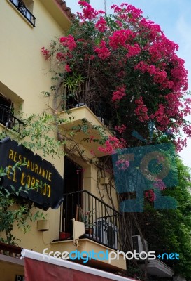 Marbella, Andalucia/spain - July 6 : Overgrown Restaurant In Mar… Stock Photo