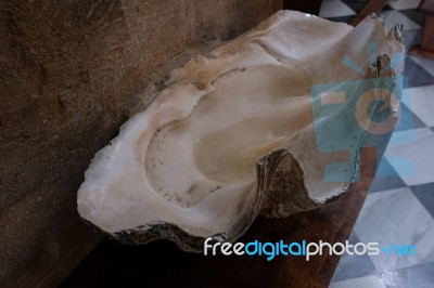 Marbella, Andalucia/spain - July 6 : Seashell Font In The Church… Stock Photo