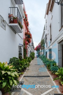 Marbella, Andalucia/spain - July 6 : Street Scene In Marbella Sp… Stock Photo