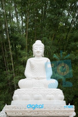 Marble Buddha Sculpture Under Green Bamboo Forest Background Stock Photo