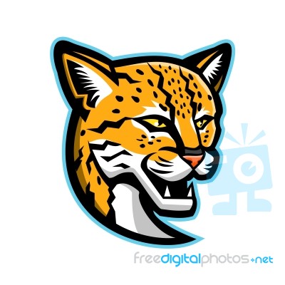 Margay Head Mascot Stock Image