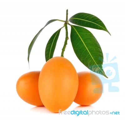 Marian Plum Thai Fruit Isolated On White Background Stock Photo