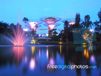 Marina Bay ,singapore, May 30, 2015: Big Tree Light Show Stock Photo