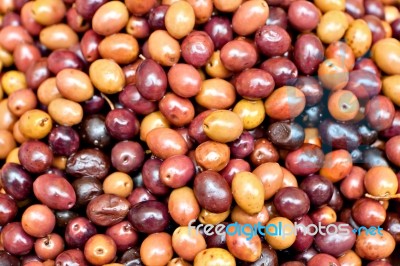 Marinated Olives Stock Photo