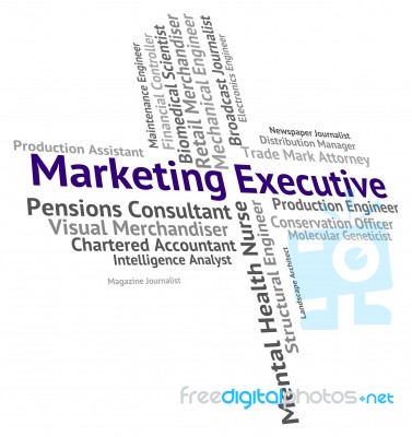 Marketing Executive Meaning Senior Administrator And Principal Stock Image