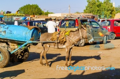 Marketplace In Al Quwaysi In Sudan Stock Photo