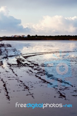 Marshlands Stock Photo