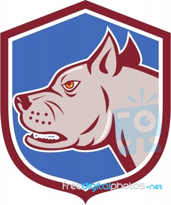 Mastiff Dog Mongrel Head Shield Cartoon Stock Image