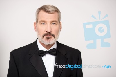 Mature Businessman In Suit Stock Photo