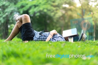 Mature Man Sleeping On Green Grass In City Park  With A Book Cov… Stock Photo