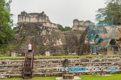 Maya Ruins Of Tikal, Near Flores, Guatemala Stock Photo