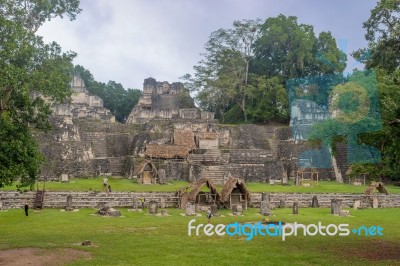 Maya Ruins Of Tikal, Near Flores, Guatemala Stock Photo