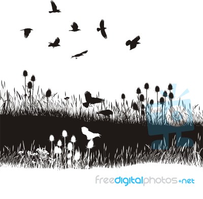 Meadow And Crows Stock Image