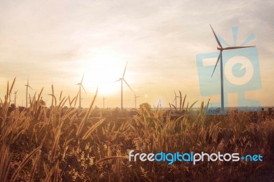 Meadow At Sunset Stock Photo