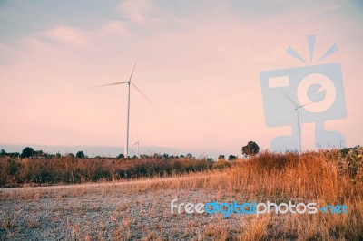 Meadow With Wind Turbines Stock Photo