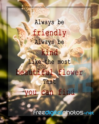 Meaningful Quote On Blurred Orchid Flower Background Stock Photo