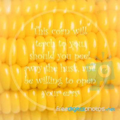 Meaningful Quote On Corn Background Stock Photo