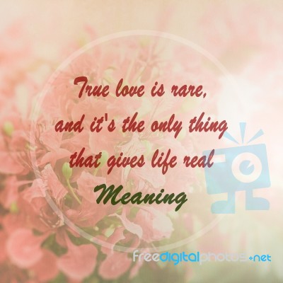 Meaningful Quote On Pink Flower Background Stock Photo