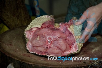 Meat Of A Crocodile Stock Photo