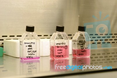 Media For Cell Culture Stock Photo