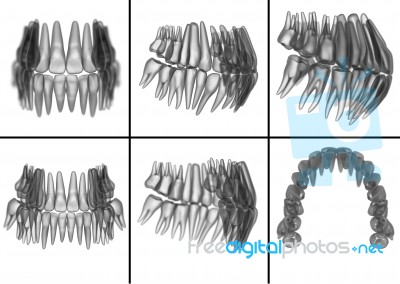 Medical Illustration Of The Tooth On  Background Stock Image