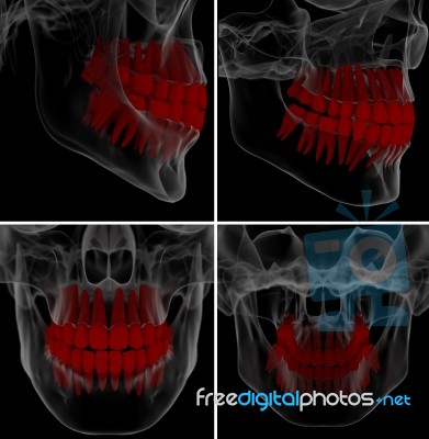 Medical Illustration Of The Tooth On Background Stock Image