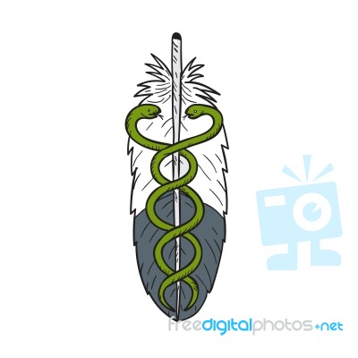 Medical Snake Eagle Feather Drawing Stock Image