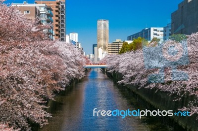 Meguro Canel Stock Photo