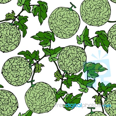 Melon, Cantalop Seamless Pattern By Hand Drawing On White Backgr… Stock Image