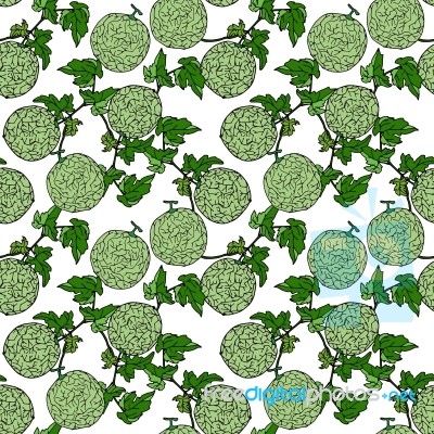 Melon, Cantalop Seamless Pattern By Hand Drawing On White Backgr… Stock Image