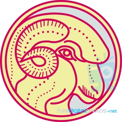 Merino Ram Sheep Head Circle Mono Line Stock Image