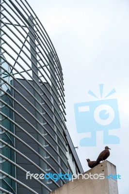 Metal Birds On A Contemporary Building In Cardiff Bay Stock Photo