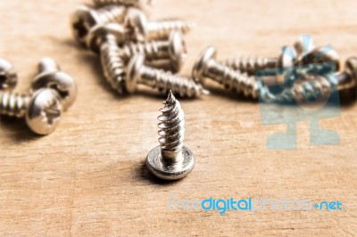 Metal Screws Stock Photo