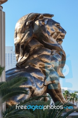 Mgm Lion Stock Photo