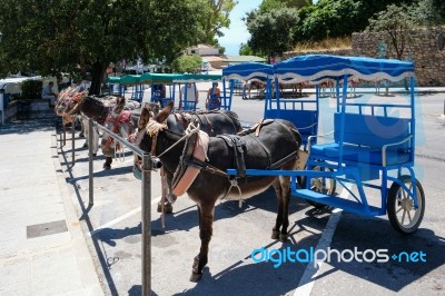 Mijas, Andalucia/spain - July 3 : Donkey Taxi In Mijas Andalucia… Stock Photo