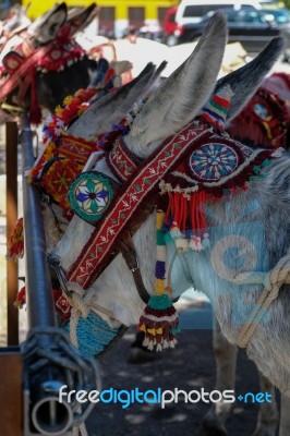 Mijas, Andalucia/spain - July 3 : Donkey Taxi In Mijas Andalucia… Stock Photo