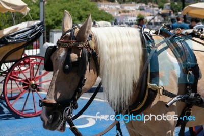 Mijas, Andalucia/spain - July 3 : Horse And Carriage In Mijas An… Stock Photo