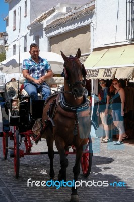 Mijas, Andalucia/spain - July 3 : Horse And Carriage In Mijas An… Stock Photo
