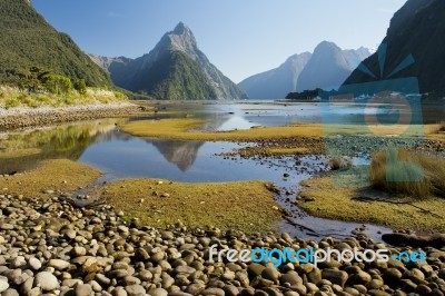 Milford Sound, New Zealand Stock Photo