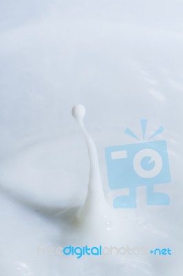 Milk Droplet Stock Photo