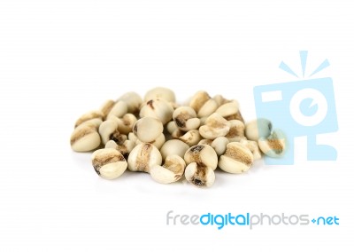 Millet Rice , Millet Grains Isolated Stock Photo