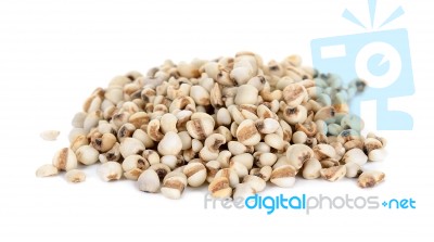 Millet Rice , Millet Grains Isolated On White Background Stock Photo